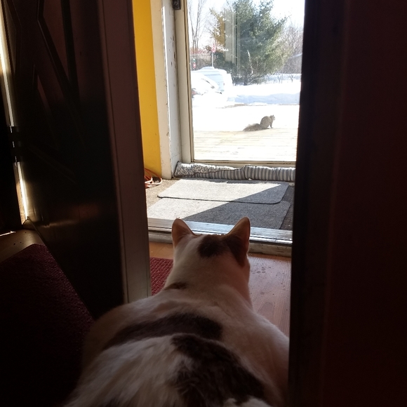 100k THANK YOU FRIENDS - Picture 3 of 14